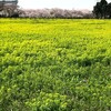 友だちに誘われ、県人会のバーベキューに行ってみた