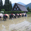 雨にも負けず畑仕事をしました！