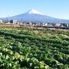 泉里農園ブログ21,12,28号配信致しました！☺️よろしくお願いいたします(^-^)