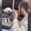 飼い主のポーズに、いつも楽しそうな笑顔で応えるワンコがかわいい