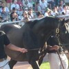 札幌競馬場その3