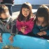 　四ツ輪