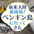 アルゼンチン旅行記①ビーグル水道ペンギン島クルーズツアーの感想