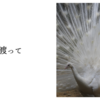 海を渡って