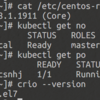 CentOS 7 / CentOS 8 でCRI-OをKubernetesで使う