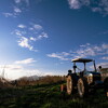Vario-Tessar T* E 16-70mm F4 ZA OSS (SEL1670Z)