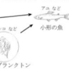 【中三応援プログラム】琵琶湖の微生物（２０１９年）