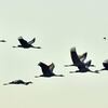 Struggled by Migration Err and Solved