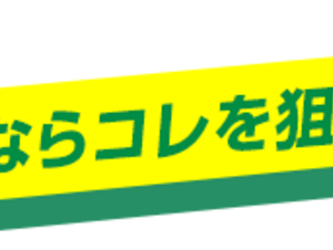 2021年秋 輸入車ランキング【中古車ベスト5】