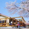 のんのんびより 春の下里分校で桜撮影-Cherry Blossom Viewing at Shimozato Elementary School-