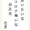 会いたいな 怖いなコロナ お正月