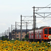 近江鉄道 2024　8/15-16