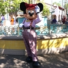 DCL西カリブクルーズ+WDW+DLR70th （15.70周年のカリフォルニアアドベンチャー）