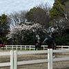 4月7日　日記