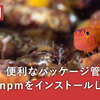 便利なパッケージ管理ツール「npm」をインストールしてみよう！