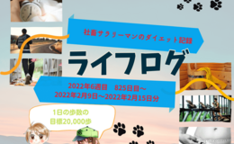 Go to entry