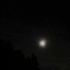 昨夜の月
