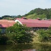 華やかな街は憧れ。。。田舎の広大な自然もいいな～