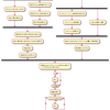 UMLを練習する、アクティビティー図 ベータ版-5
