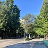 札幌は晴れ