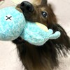 介護認定