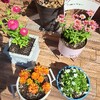 心の栄養