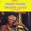 なにげにすごいっ！＠＿＠【Charles Lloyd／Forest Flower】