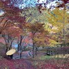外岩日記 2020/11/21 御岳ボルダー