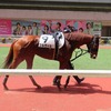 【一口馬主】勝負処でズブさを見せるもなんとか...なコルヴィルのレース結果。
