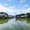 甘木公園の桜　2025/04
