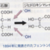 肉はなぜ身体に悪いのか？