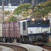 鉄道撮影　東海道線　辻堂－茅ヶ崎