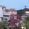 宴会