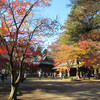 錦秋の平林寺