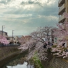 横浜 弘明寺散歩。