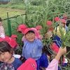 お芋の草取りがんばるぞ👊😃Part2