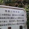 西野川樹林地（東京都狛江市）