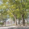 公園