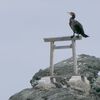 50日ってあれほど言ったのに。