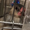 里親会その2〜完結編