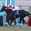 【2歳新馬2025】ダノンプレミアム産駒初勝利