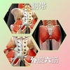 最重要施術箇所です！仙骨が動き出すまでのステップ（１）～（３）　特に（３）が難易度が高いが素敵な変化を生み出しますよ！