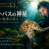 タコ＝たこ焼きの常識が変わる！映画『オクトパスの神秘: 海の賢者は語る』が描く、涙なしには見られない「1年限りの純愛」