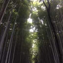 ほけん屋のつぶやき