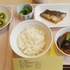 8日目ランチ