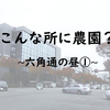 都会の真ん中の農園！こんなところに？京都八百一の空中農園！六角通の昼①