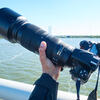 野鳥撮影用に望遠レンズ、ニコンAF-S NIKKOR 200-500mm f/5.6E ED VRとテレコンTC-14E IIを購入したのでレビューします。