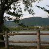 123. 赤虎毛の蘭と赤毛の暖吉　　ようやく涼しくなりました。