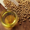 Soybean Oil Market – Industry Reports, Investments Guide and Opportunities 