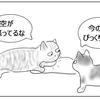 空が怒ってる